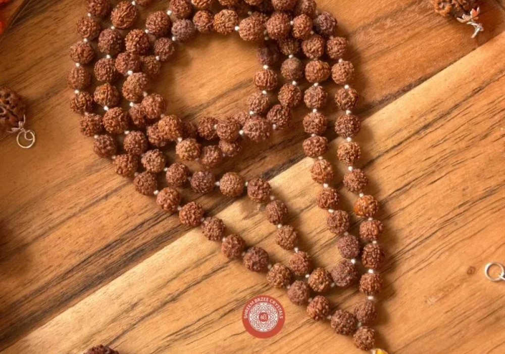 image_50737409-min-800x1000